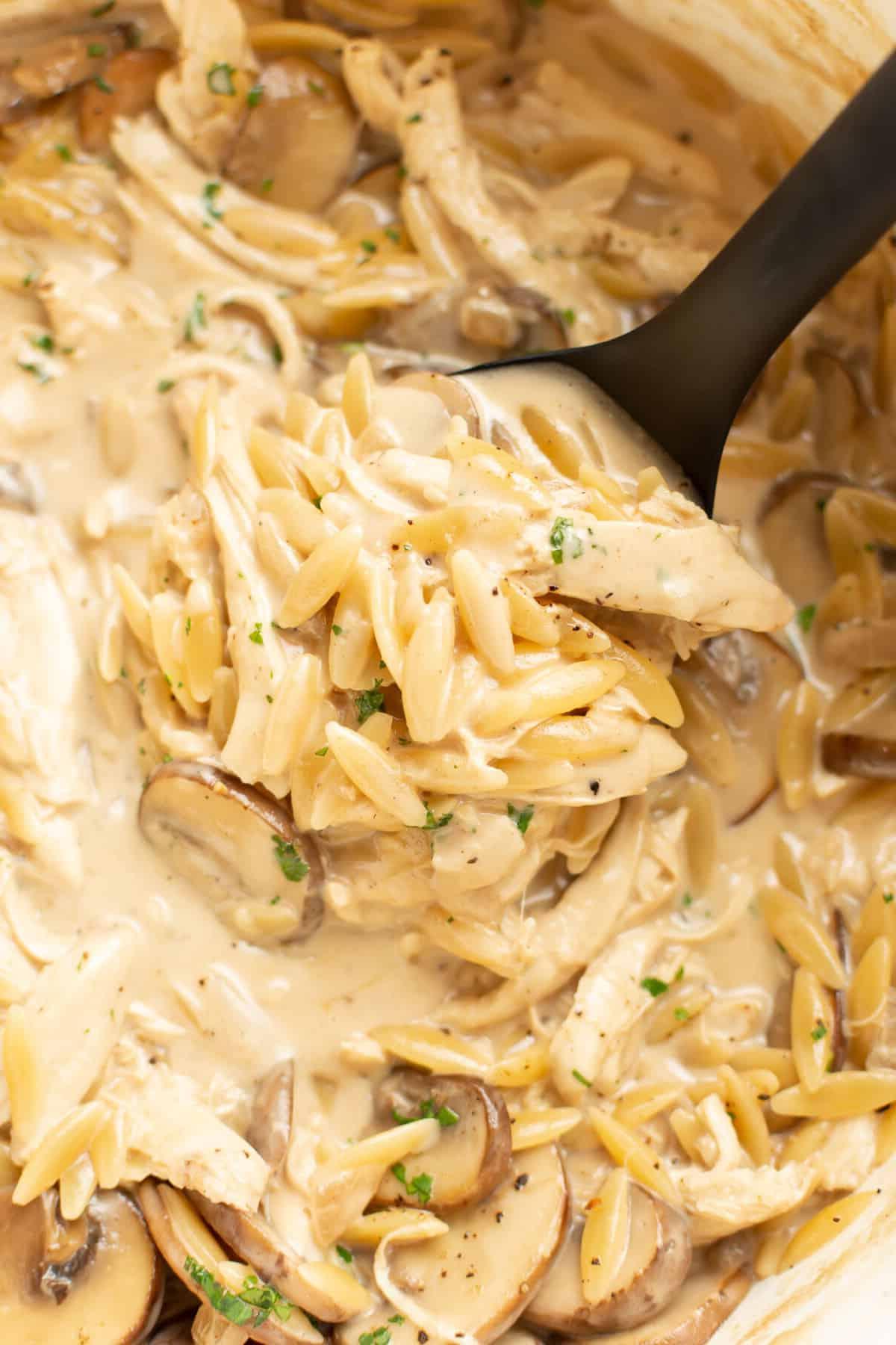 Hähnchen Marsala Orzo 6 Nahaufnahme von Hähnchen Marsala Orzo mit einer Schöpfkelle