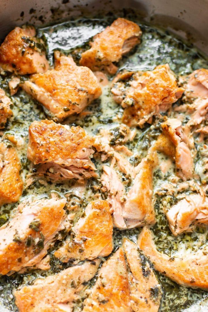 Lachs-Pesto-Pasta 6 Nahaufnahme von cremiger Lachs Pesto Pasta