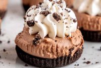 5 Malzeme Mucizesi Fırınsız Mini Çikolatalı Cheesecakeler