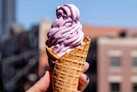 Easy 5-Ingredient Blueberry Lemon Cheesecake Ice Cream (Ninja Creami Recipe)