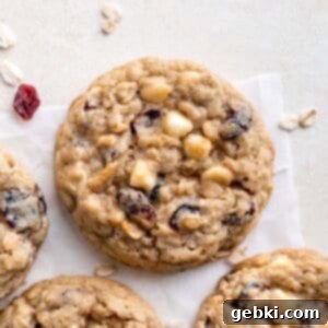 A freshly baked oatmeal craisin white chocolate chip cookie, showcasing its golden-brown edges and soft center, ready to be enjoyed.