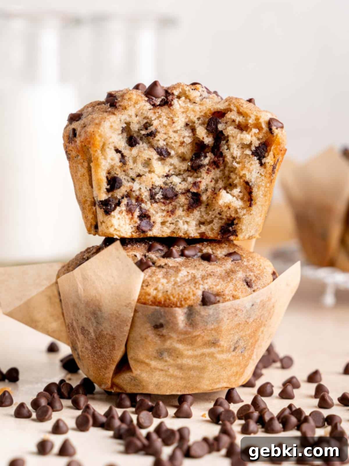 Two jumbo muffins filled with mini chocolate chips and cinnamon.