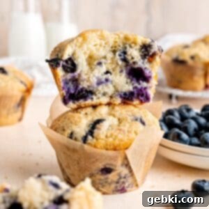 Ultimate Sourdough Discard Blueberry Muffins 10 img 14064 13