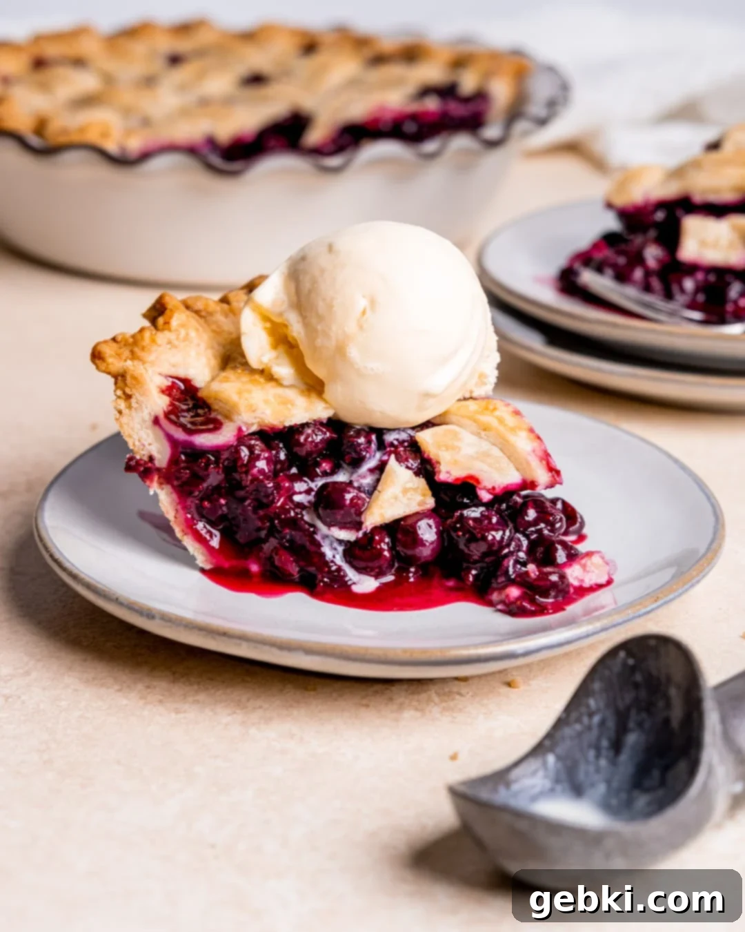 Aromatic Blueberry Delight 2 A perfectly baked spiced blueberry pie with a golden lattice crust, cooling on a wire rack.