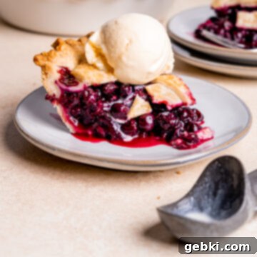 Aromatic Blueberry Delight 14 A slice of golden-crusted spiced blueberry pie with filling showing.
