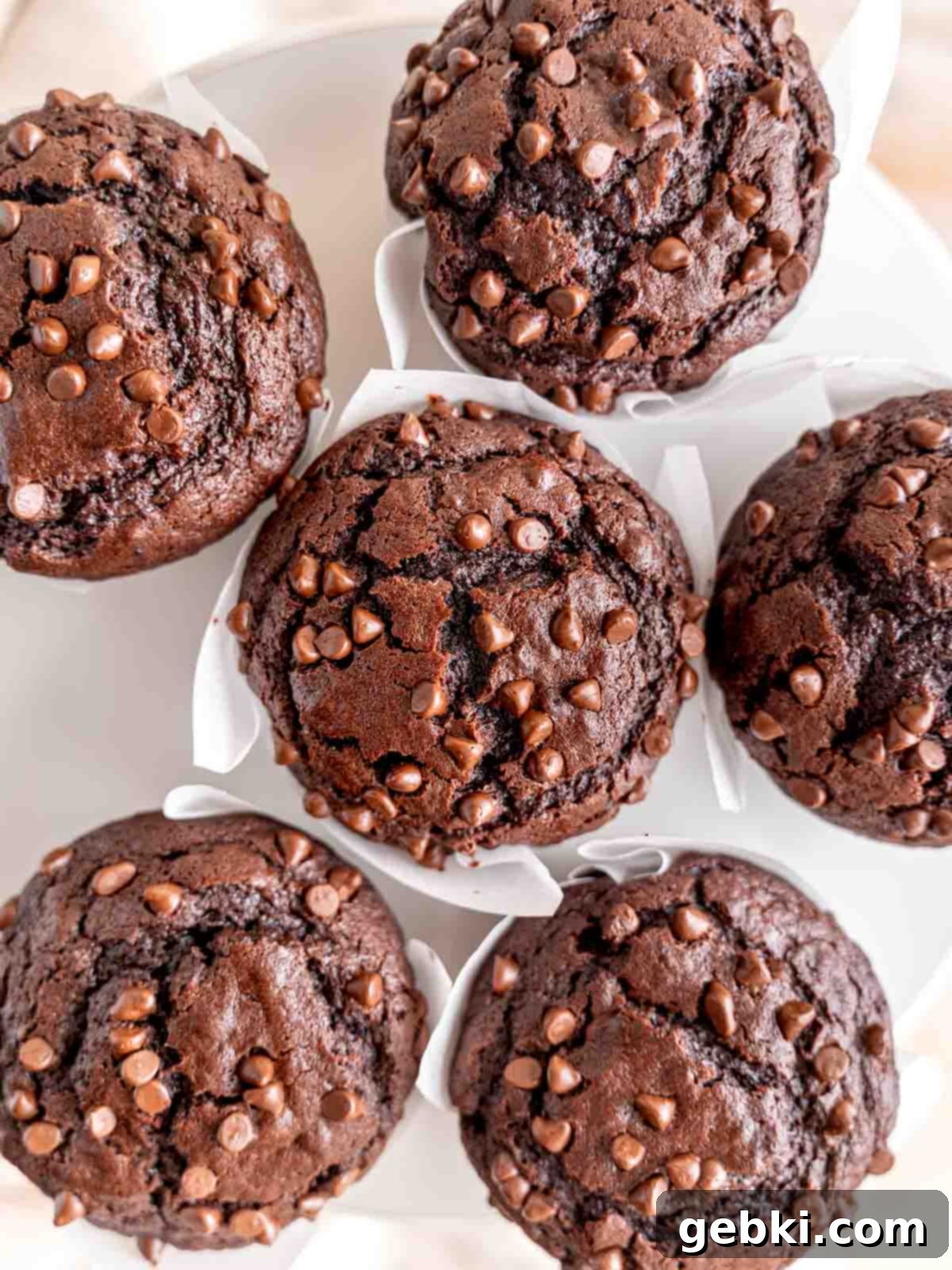 Ultimate Easy Triple Chocolate Brownie Muffins 2 Top view of triple chocolate brownie muffins with mini chocolate chips on top.