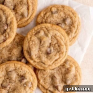 Chewy malted chocolate chip cookies.