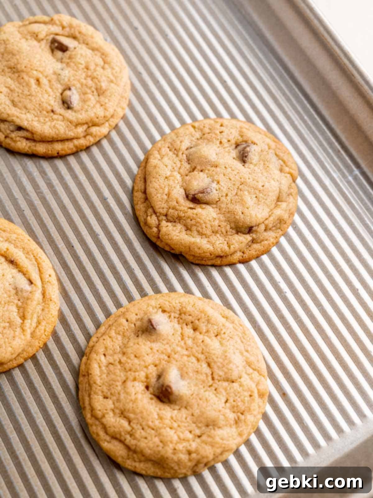 Freshly baked chewy chocolate chip malted milk cookies cooling on a baking sheet, with golden edges and soft centers.