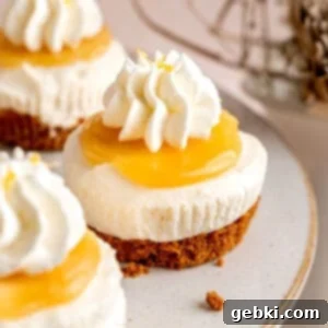 Mini lemon cheesecakes with lemon curd, whipped cream, and Biscoff cookie crust.