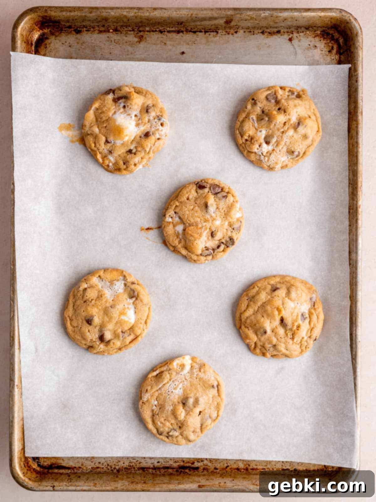 Baked s'mores cookies on a parchment lined baking pan.
