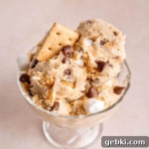 Ultimate S'mores Edible Cookie Dough 10 Scoops of edible s'mores cookie dough in a bowl, garnished with mini marshmallows and chocolate.
