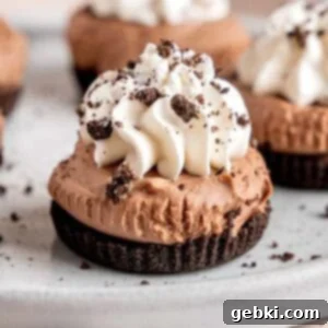No-bake mini chocolate cheesecakes topped with whipped cream and crushed Oreo cookies.