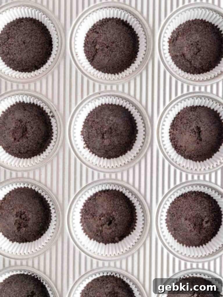 A muffin pan filled with Oreo crumb crusts.