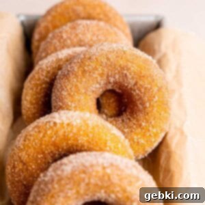 Baked Pumpkin Donuts coated in cinnamon sugar.