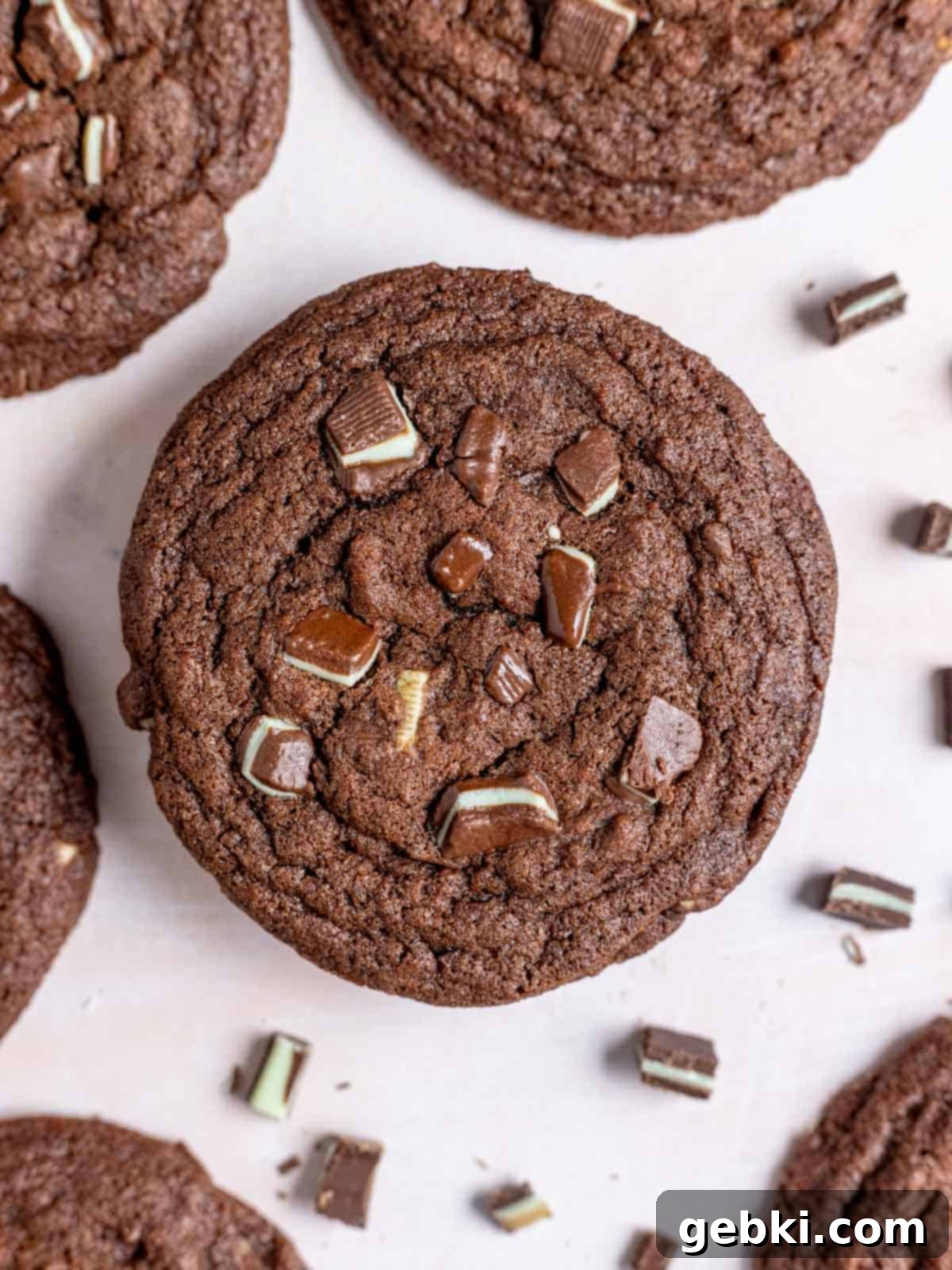 Irresistible Chewy Andes Mint Chocolate Cookies 2 Chewy chocolate cookies with Andes mints.