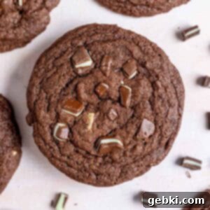 Irresistible Chewy Andes Mint Chocolate Cookies 10 img 26342 13