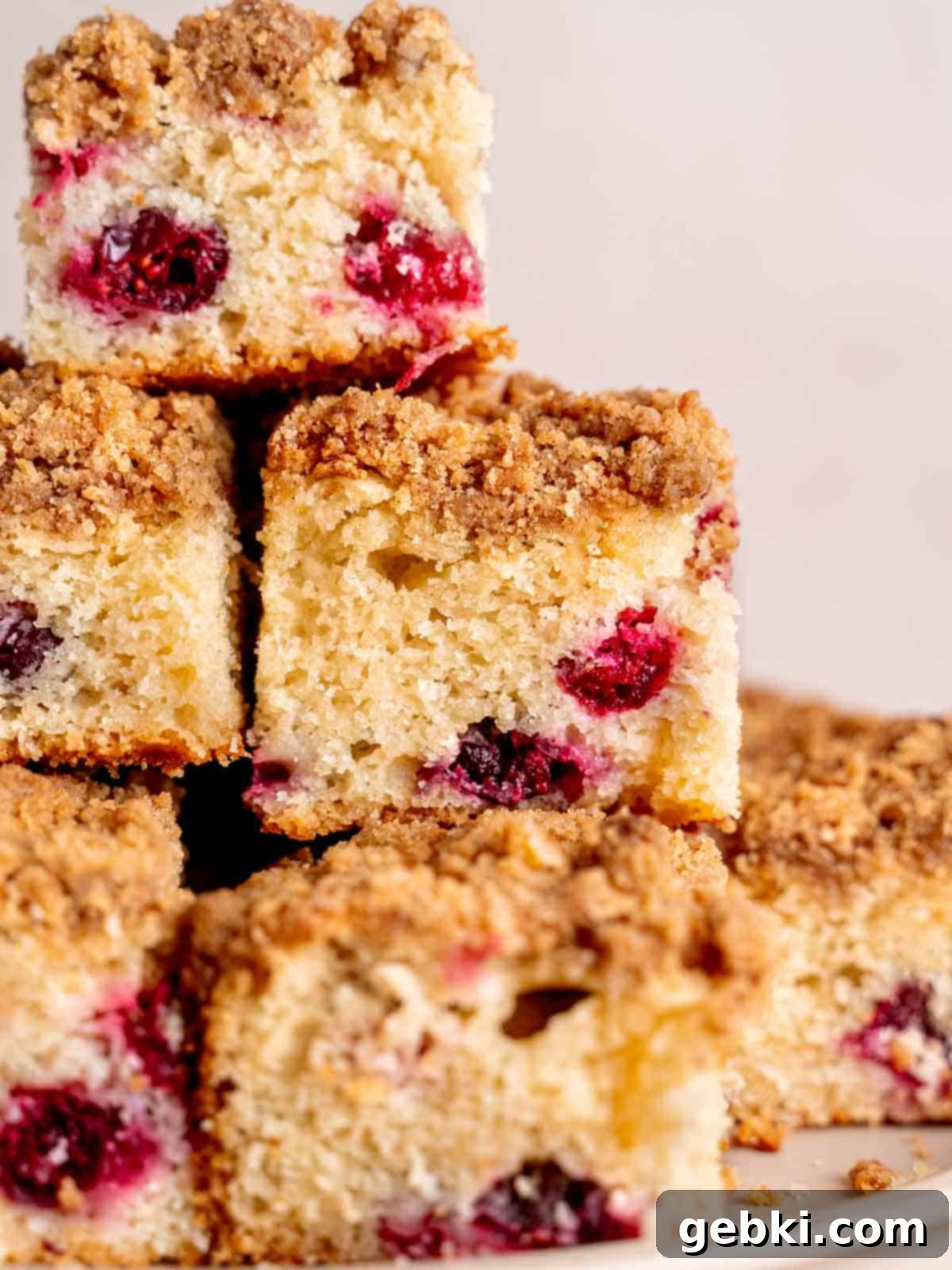 Quick Cranberry Coffee Cake 2 Slices of fluffy cranberry coffee cake with a golden-brown streusel topping, artfully arranged on a platter, highlighting its rich textures and festive colors.