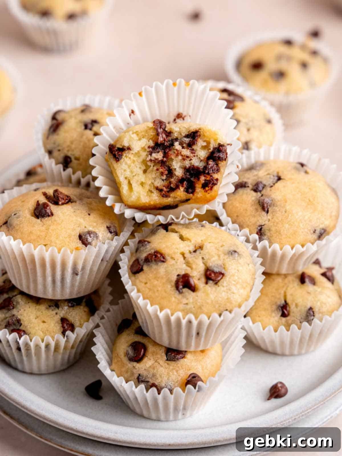 Chocolate chip mini muffins on a plate.