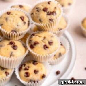 Chocolate chip mini muffins on a plate.