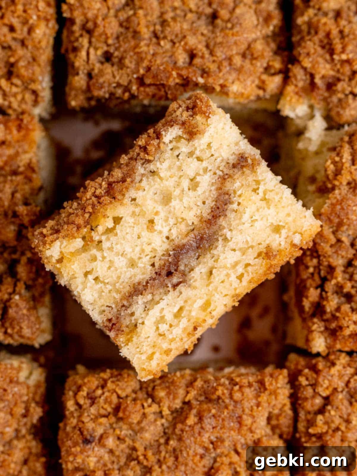 Tangy Sourdough Discard Coffee Cake 2 Fluffy coffee cake made with sourdough discard, showing a cross-section of cake and streusel layers.