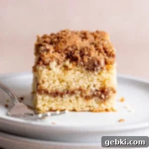 Tangy Sourdough Discard Coffee Cake 13 A slice of sourdough discard coffee cake with cinnamon streusel layers, ready to be eaten.