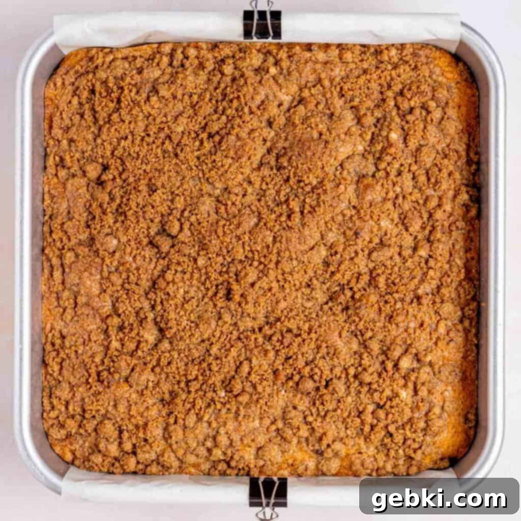 Tangy Sourdough Discard Coffee Cake 10 The top of a sourdough discard coffee cake baked in a square pan, golden brown with a rich streusel topping.