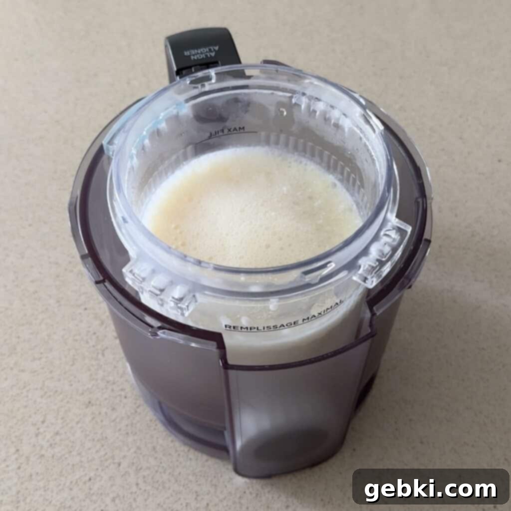Simple Ninja Creami Cookies and Cream Kefir Ice Cream 6 A frozen pint of ice cream mixture in Ninja Creami containers.