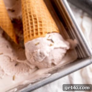Lavender Honey Dream 10 A cone with a scoop of lavender honey ice cream laying in a pan of ice cream.