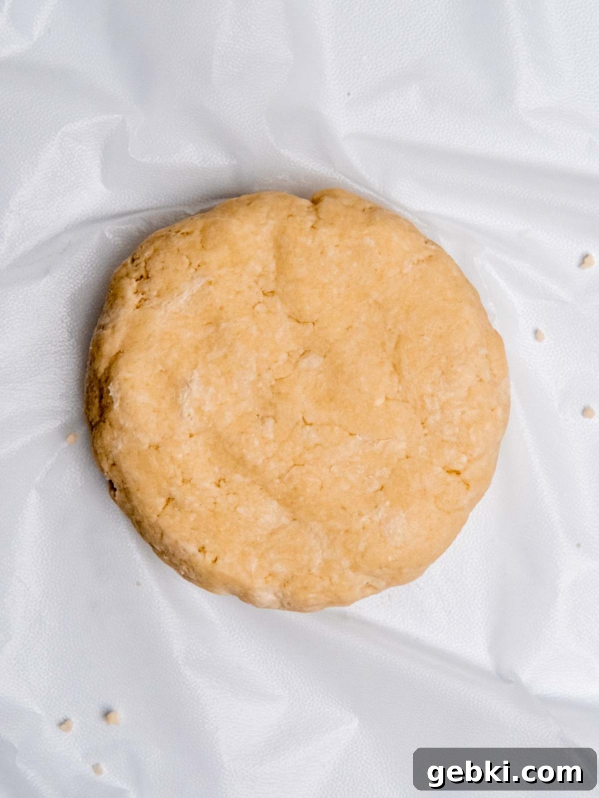 Pie dough flattened on a sheet of plastic wrap.