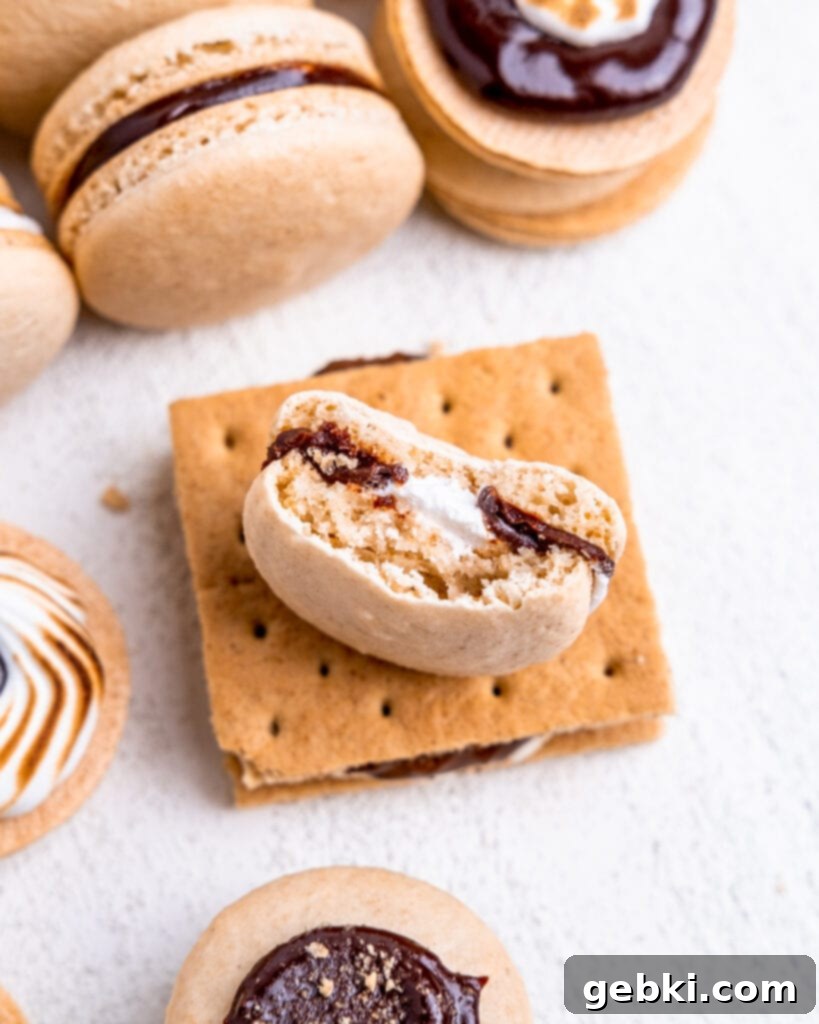 A s'mores macaron with a bite out of it sitting on top of an actual s'more. You can see the marshmallow cream & chocolate ganache fillings and full graham cracker shells.