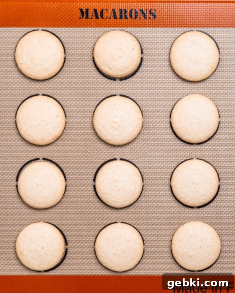 Piped macaron shells resting on a baking mat.