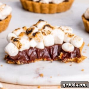 Peanut Butter S'mores Bites 6 Mini Peanut Butter S'mores Tarts, a delicious no-bake dessert.