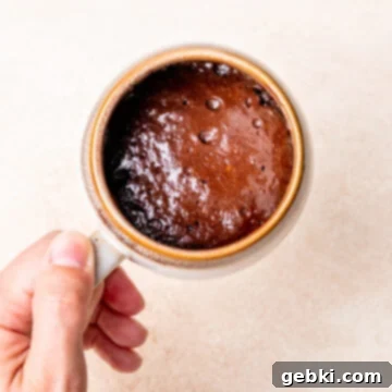 Decadent Fudgy Mug Brownie 9 img 6231 12
