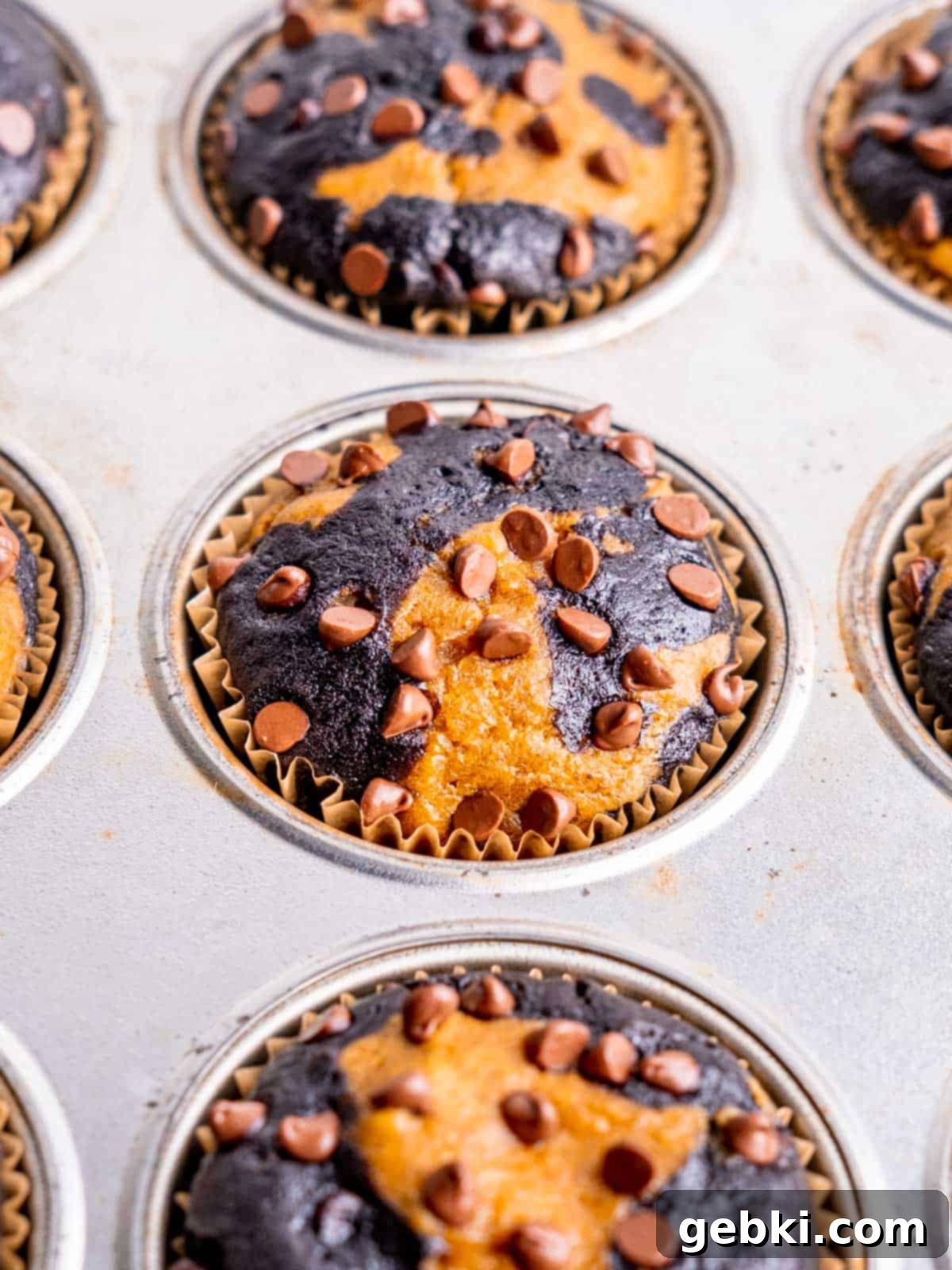 Baked double chocolate pumpkin muffins cooling in a muffin pan.