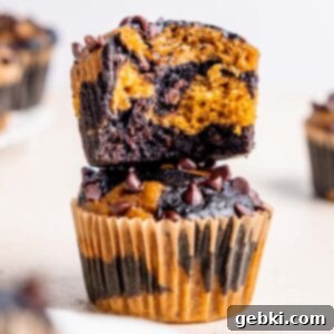 Close-up of a Double Chocolate Pumpkin Muffin showing the beautiful swirl and chocolate chips.