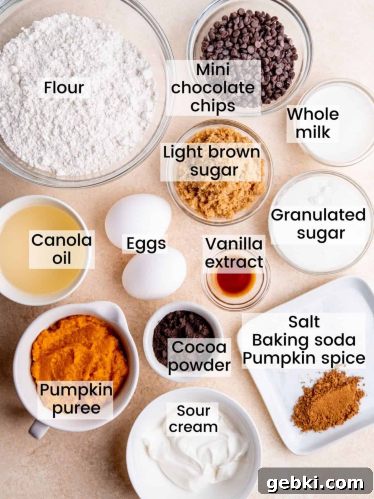 Ingredients needed to make double chocolate pumpkin muffins, neatly arranged for photography.