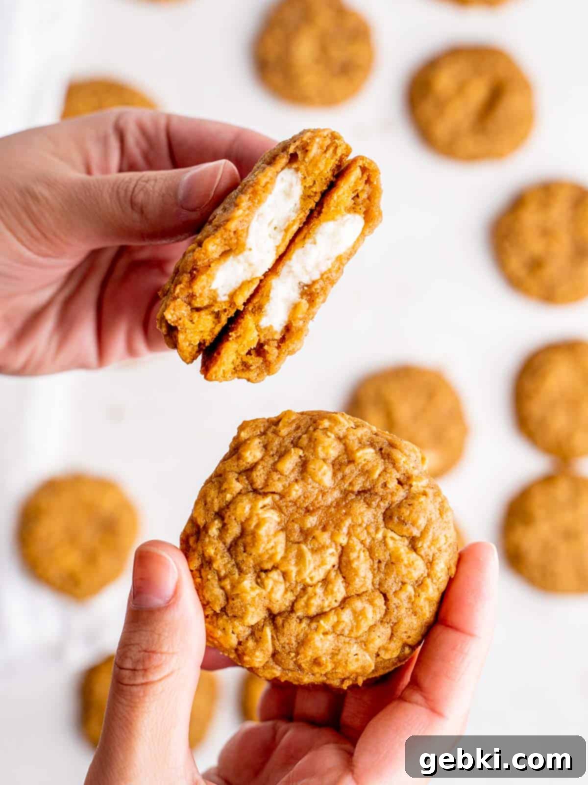 Creamy Pumpkin Cheesecake Oatmeal Cookies 6 One hand holds two halves of an oatmeal pumpkin cheesecake cookie, showcasing the rich pumpkin oatmeal exterior and the creamy white cheesecake filling. Another hand holds a whole, perfectly baked cookie.