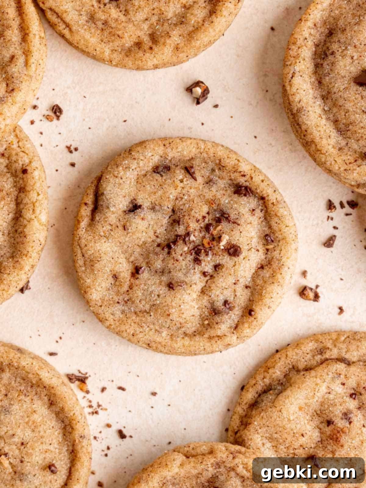 Nutty Browned Butter Snickerdoodle Cookies 10 Close up of a soft snickerdoodle cookie sprinkled with chocolate toffee bar bits.