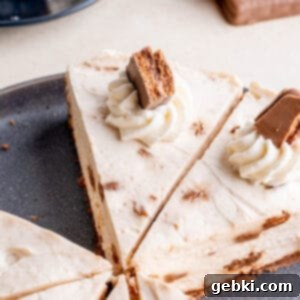Tim Tam Cheesecake 6 img 8402 5