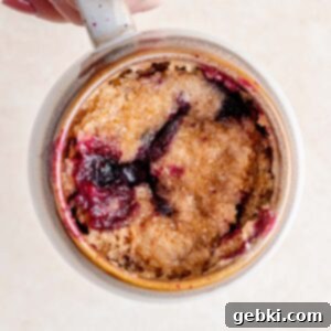 Blueberry Bliss in a Mug 6 Blueberry Muffin in a Mug