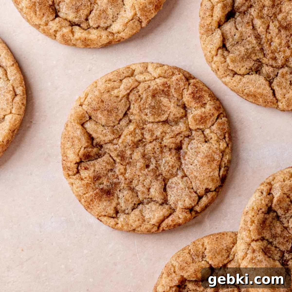Effortless Sourdough Snickerdoodles 13 featured 28280