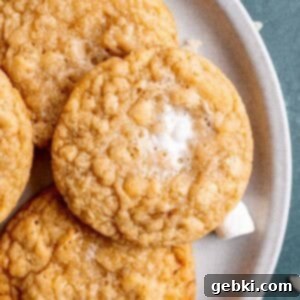 Toasted Marshmallow Crunch Cookies 12 A plate of marshmallow crispy cookies.