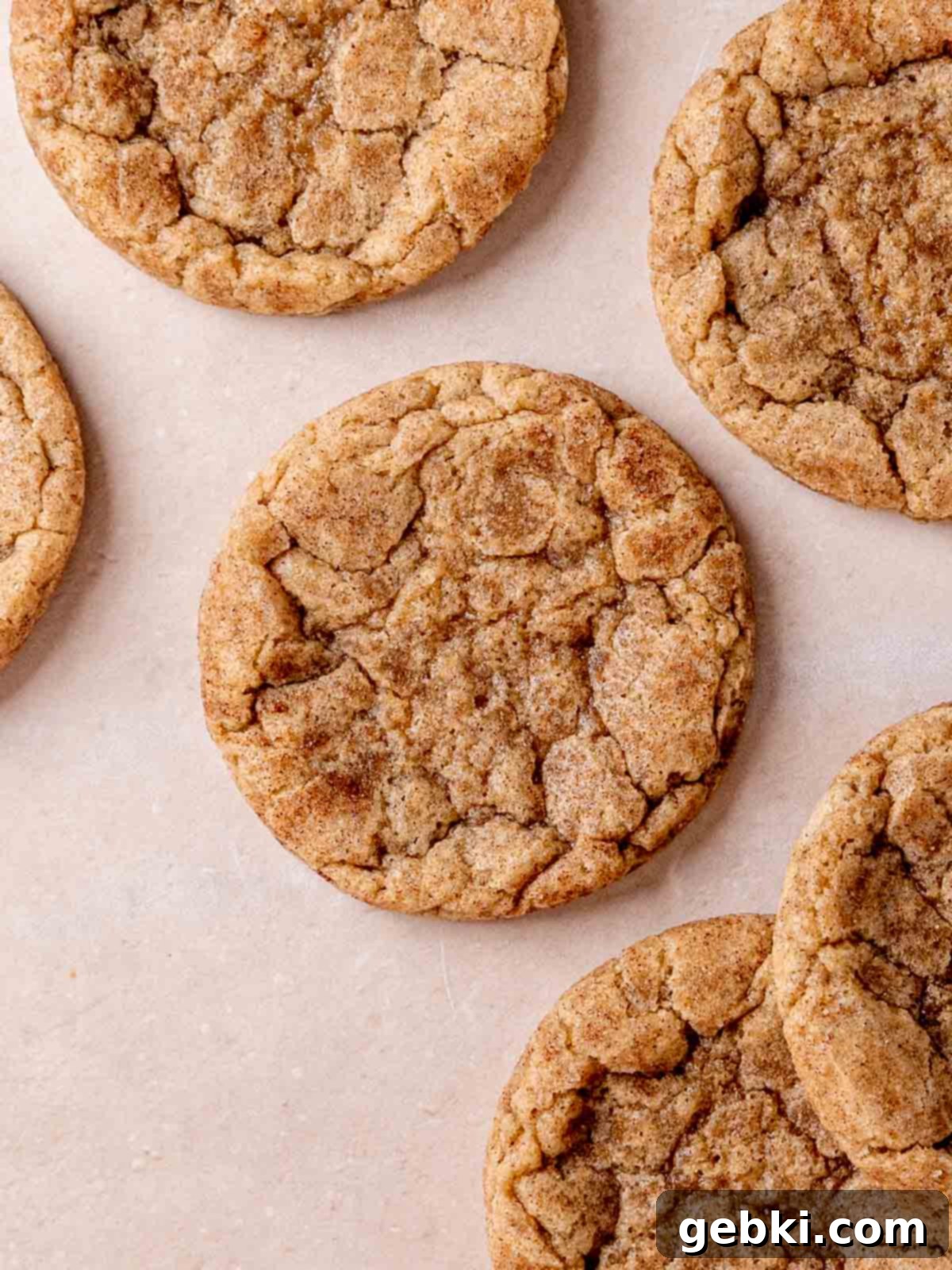 Effortless Sourdough Snickerdoodles 2 Sourdough snickerdoodle cookies sprinkled with cinnamon. The cookies are round, soft, and covered in a sparkling cinnamon-sugar mixture, sitting on a parchment-lined baking sheet.