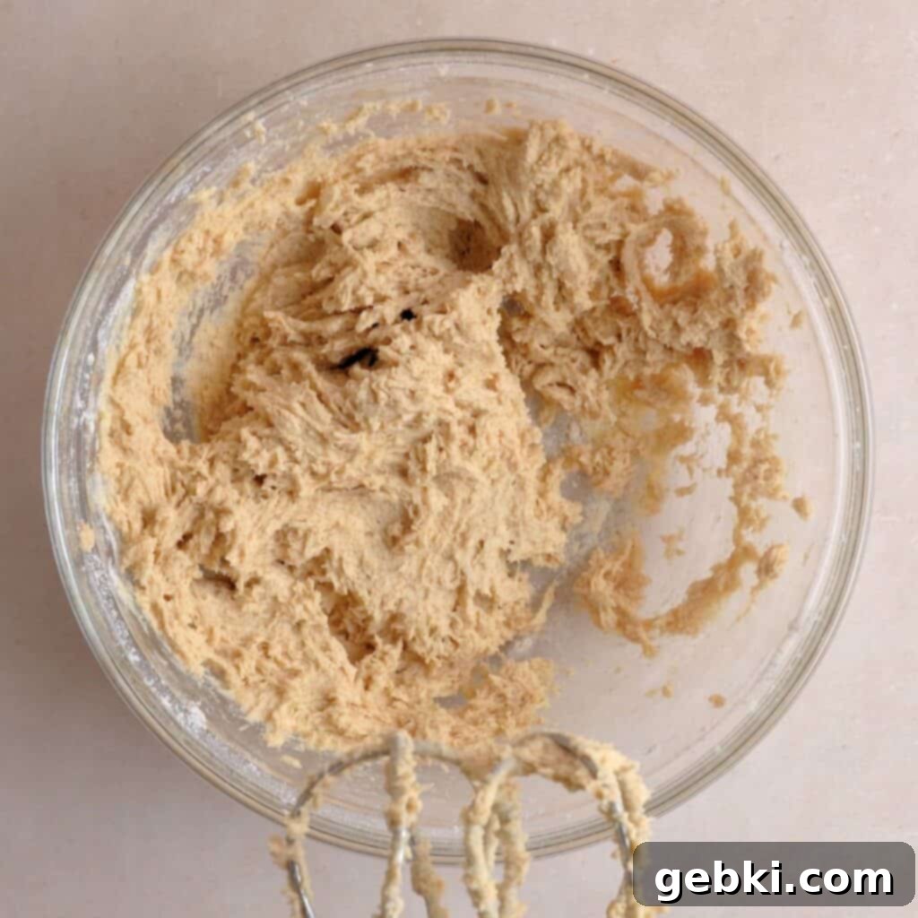 Effortless Sourdough Snickerdoodles 6 Snickerdoodle cookie dough mixture combined in a bowl, showing a soft, cohesive dough.