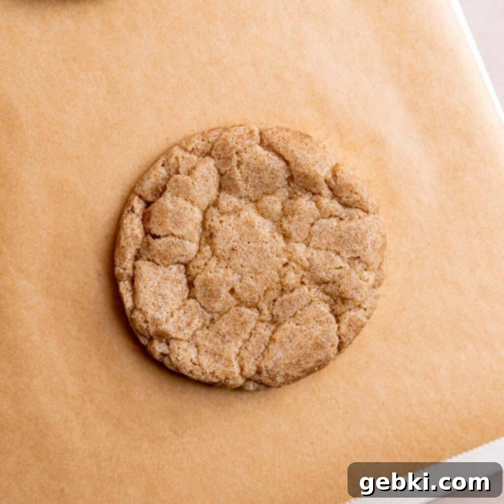 Effortless Sourdough Snickerdoodles 8 Single snickerdoodle cookie with lightly golden edges and a soft center.